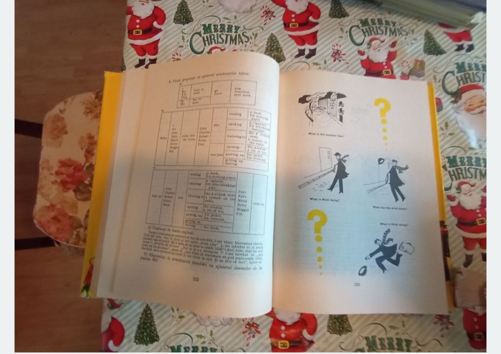 Cursuri engleza avansați