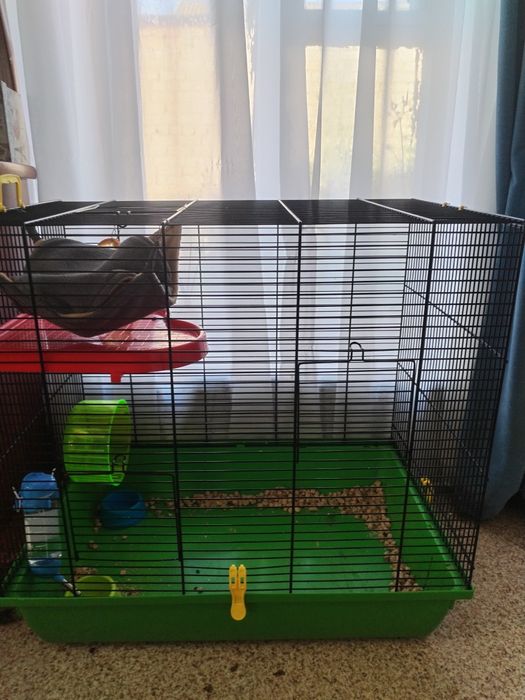 Продам сахарного опосума