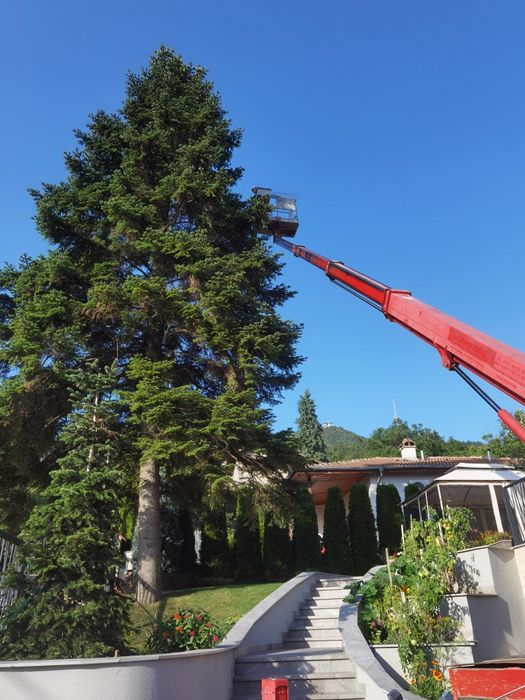 Вишка под наем. Услуги с автовишка. Рязане и кастрене на дървета.