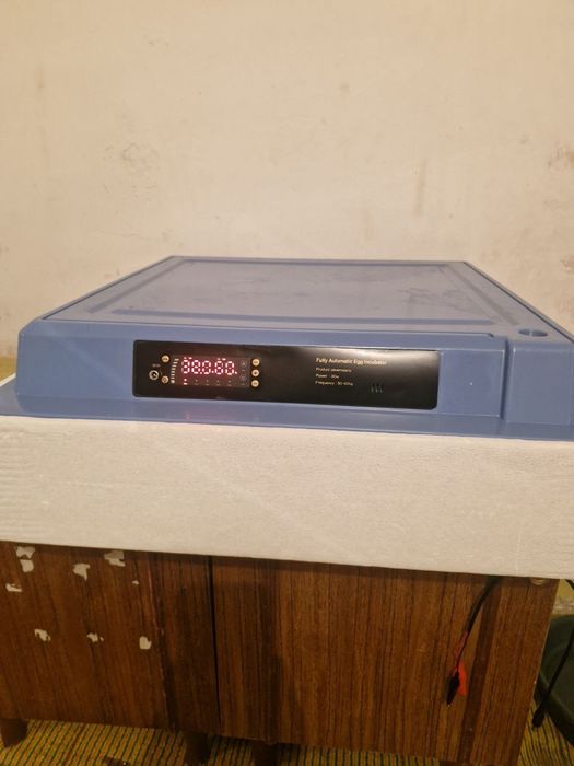 Inkubator Xizmati Tuxumlar Uruglangan Bolsa O'chirib Beraman