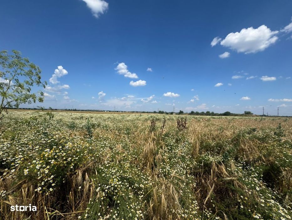 Teren extravilan, 3.800 mp, zona Exterior Nord