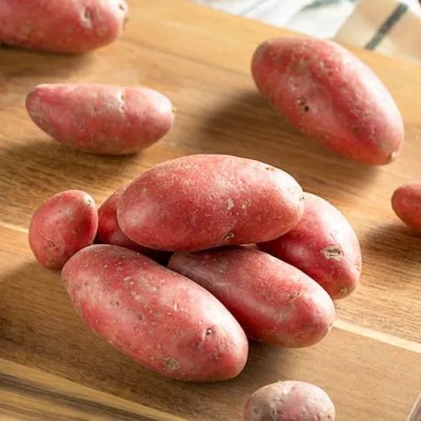 Sămânță de cartof roșu cu miez galben