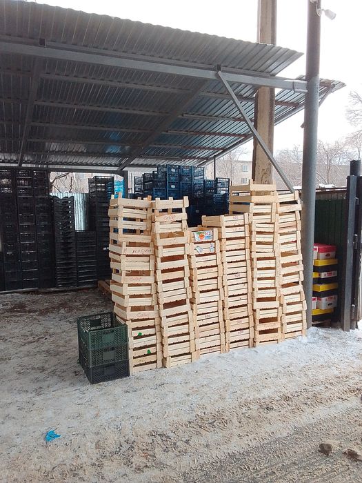 Тара пластиковая