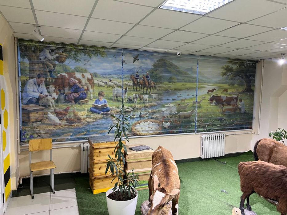 жалюзи jaluzi jalyuzi parda