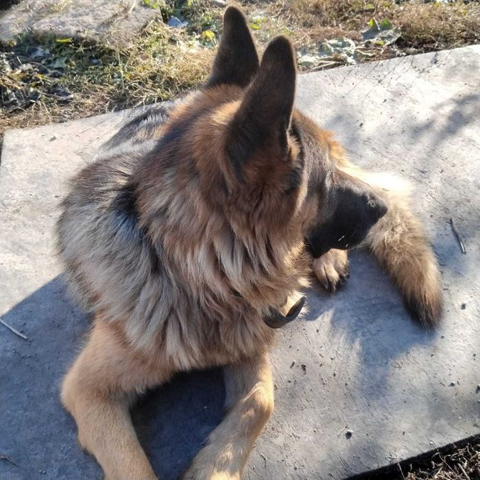 Вязка кабель немец