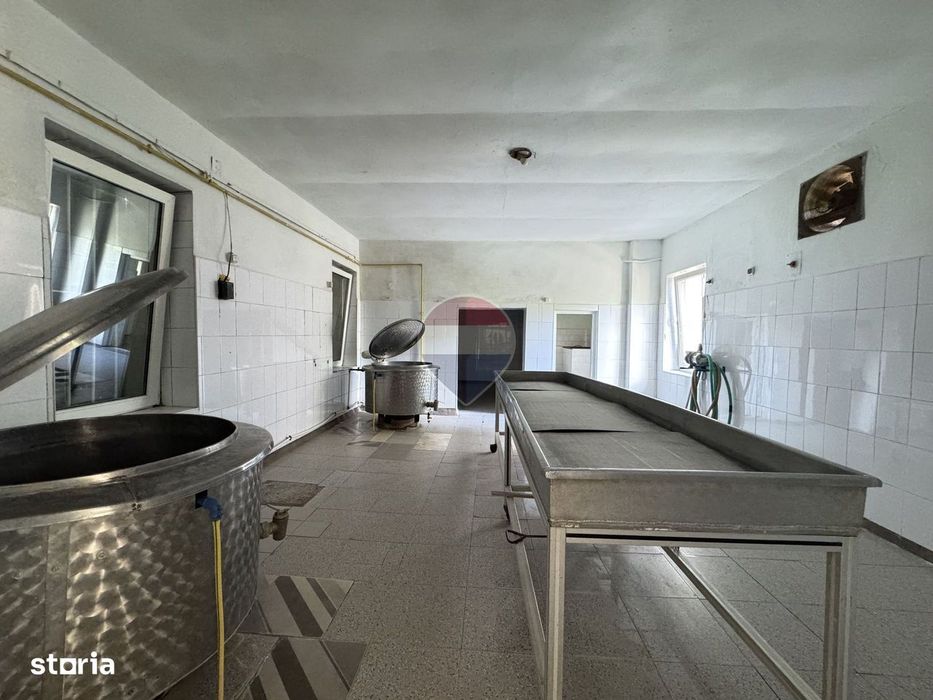 Casă cu hală și teren 738 mp – ideală pentru locuit sau business