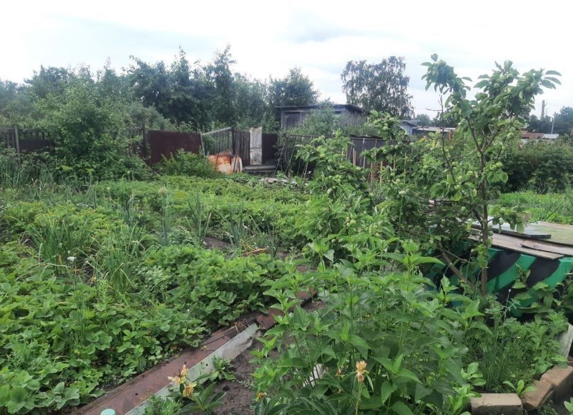 ПРОДАЁТСЯ дача 6 соток !!!