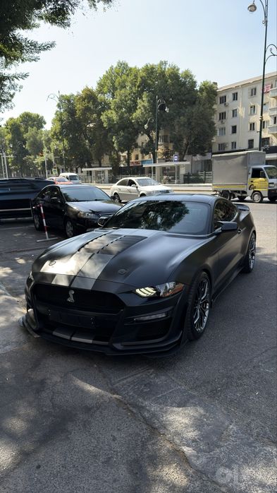 Ford Mustang (Shelby)