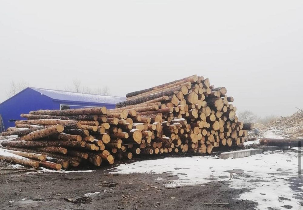 Пиломатериал. Сосна.