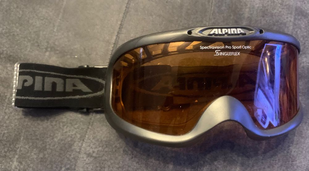 Очила за ски Sinner, Alpina