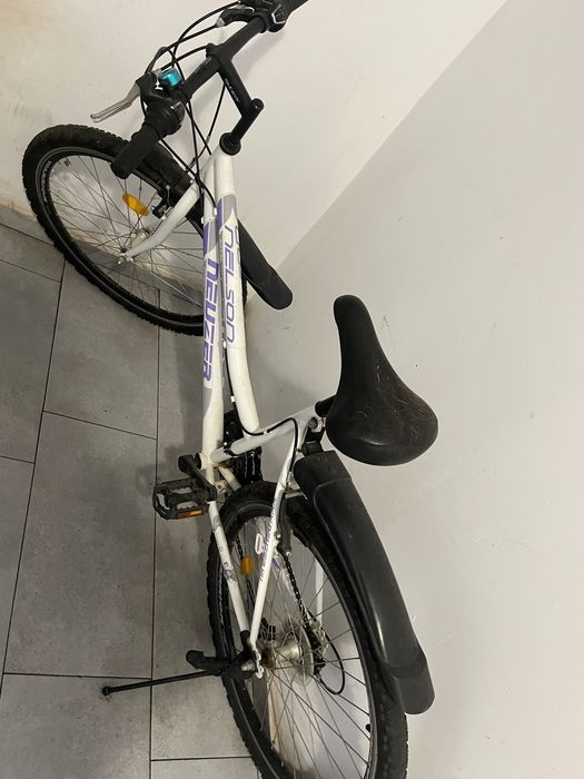 Bicicleta adulti