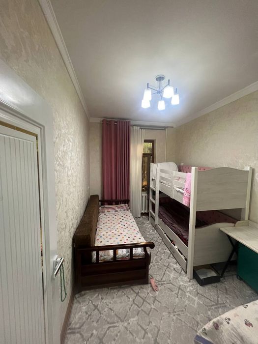 Qoraqamich 2/4 doʻm sotiladi