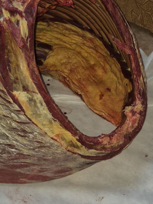 Мясо конина крупный