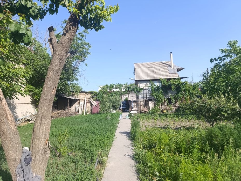 Дача янги Узбекистон