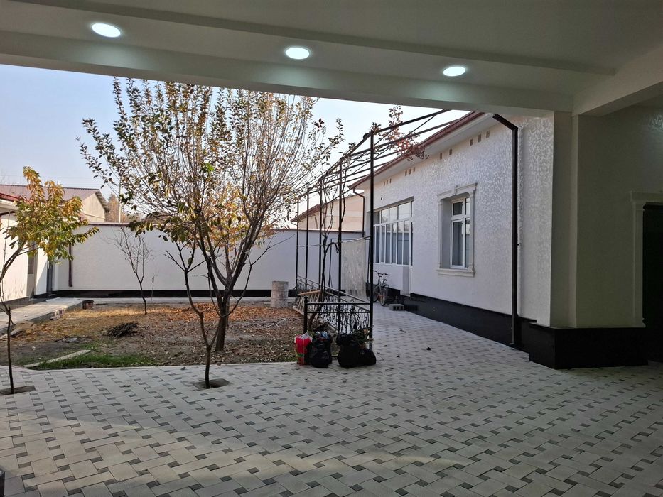 Sayohatda Kotej sotiladi