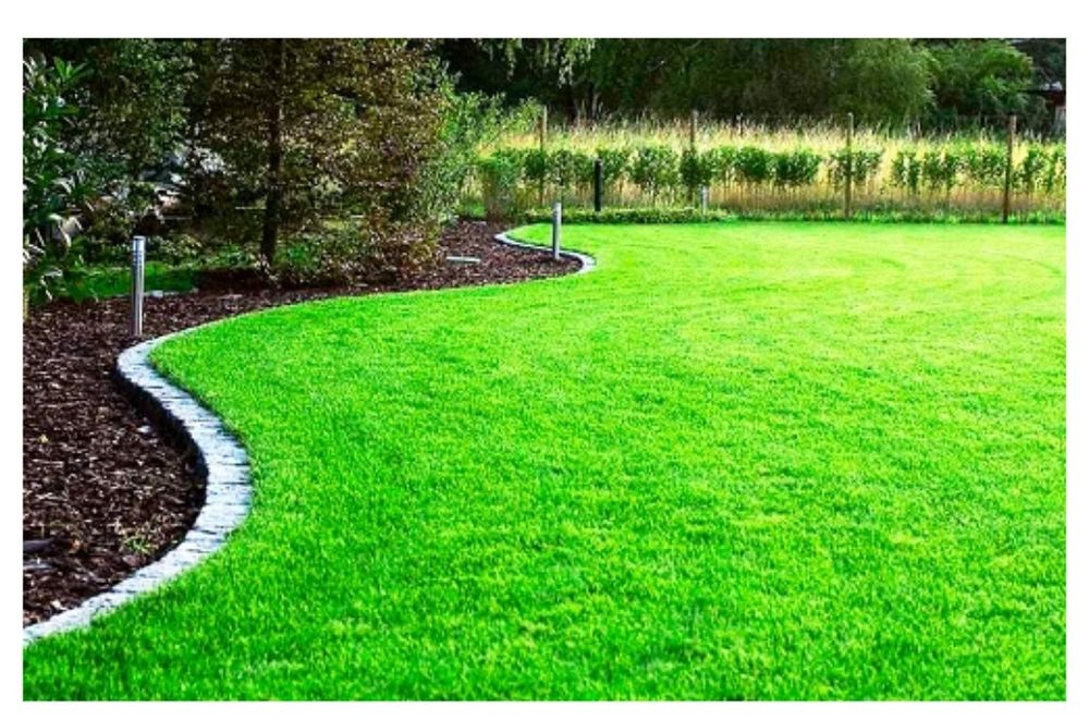 Газон Автополив Ландшафт дизайн