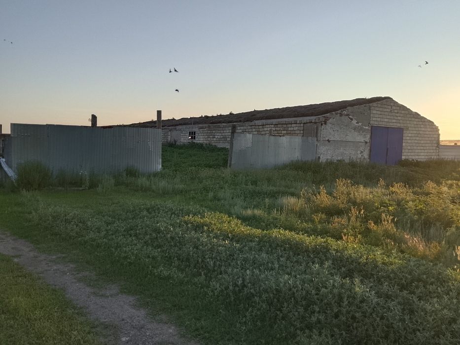 Продам крестьянское хозяйство