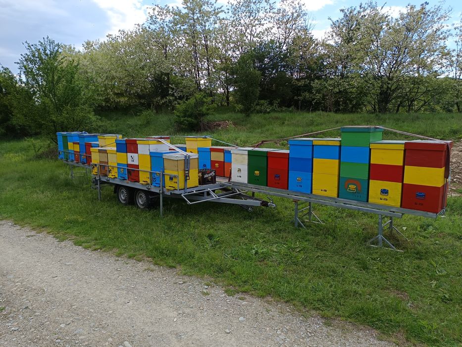 Vând remorcă apicolă