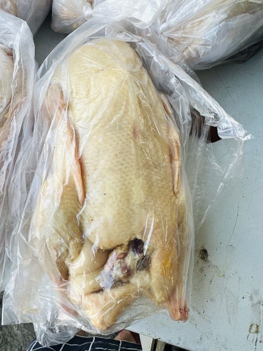 Мясо утки продаю оптом и в розницу