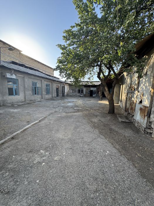 Сотиладиган ер саракулкда,Ал Бадр масжиди ёнида