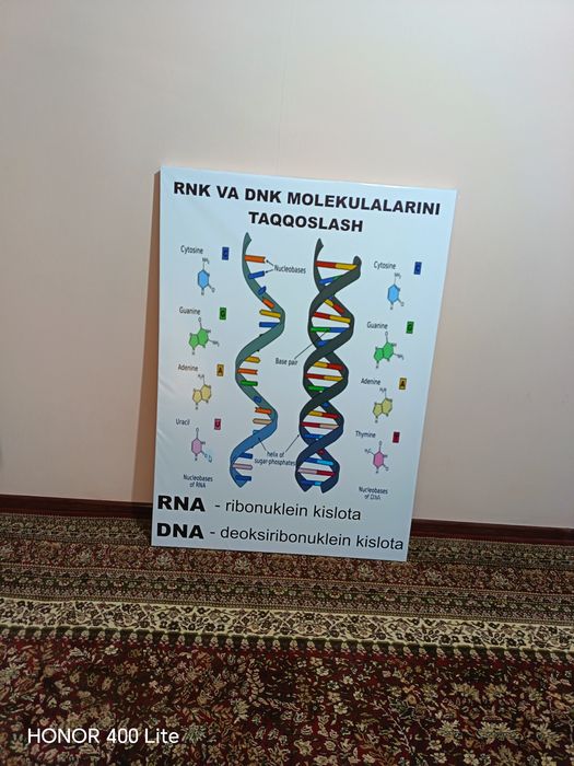 Banner biologiya xonasi uchun