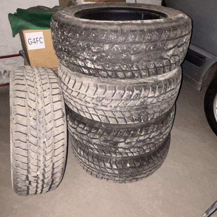 Зимние шины Nexen R16