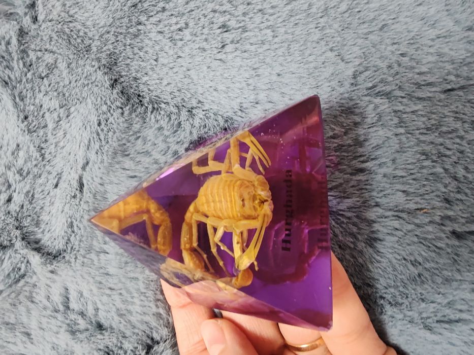 Piramida Egipt scarabeu