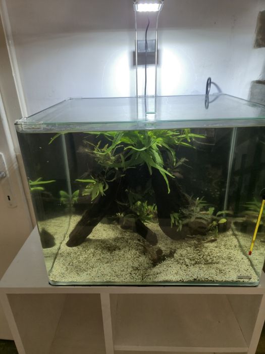 Acvariu Dennerle Nano Scapers Tank 35 l