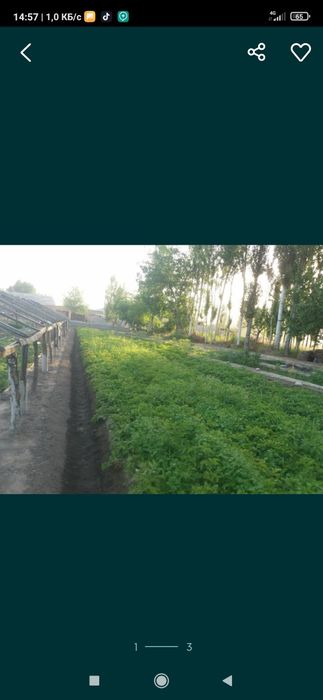 Продается земля 3 сот в тумане Енги Хает