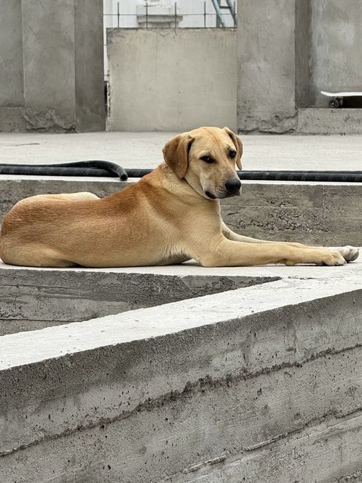 Мальчишка срочно ищет дом и семью!