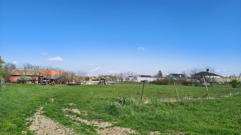 Teren de vânzare în Zărand, jud Arad, 2880 mp