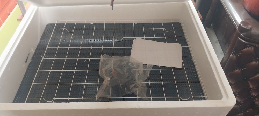 Инкубатор несушка