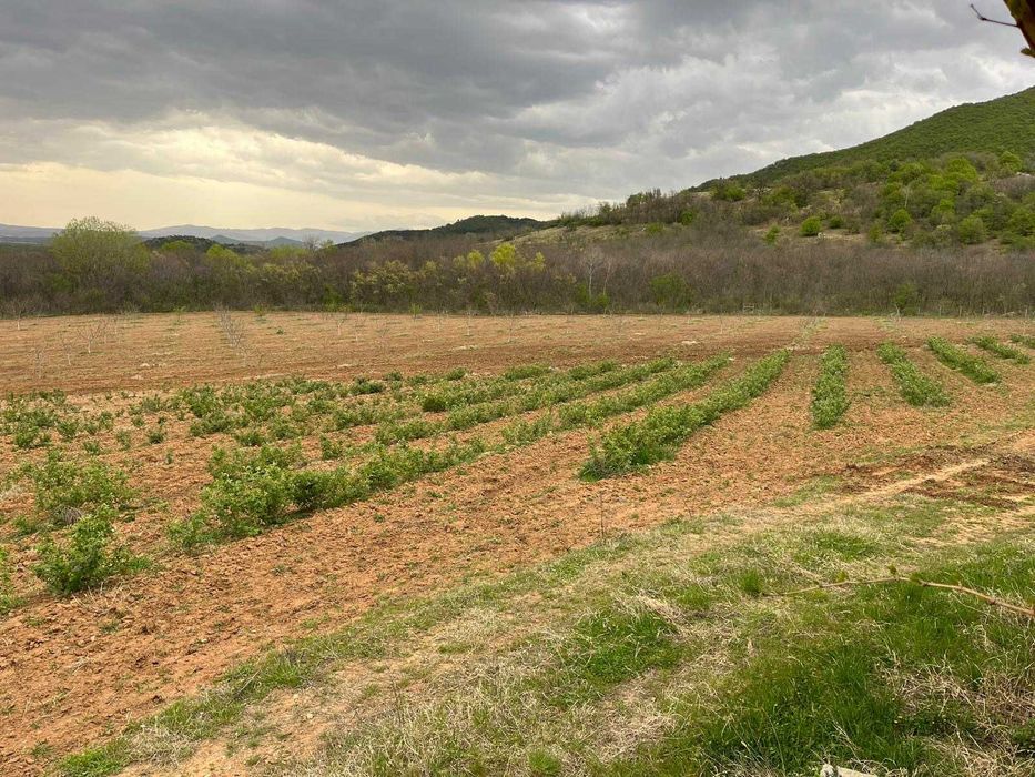 Продава се Къща в Карлово - 40 кв.м за 957 €/кв.м - Снимка #5