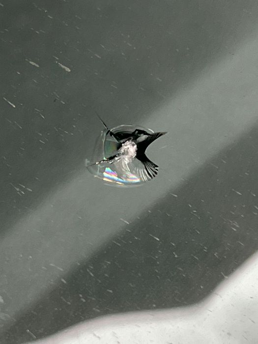 РЕМОНТ!Сколов,Трещин.Выезд!