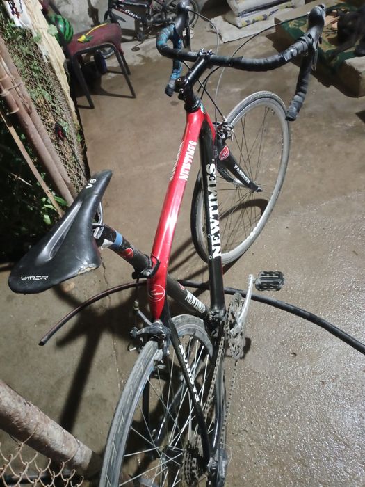 Велосипед гончик, с карбоновой рамой и вилкой, дорогие диски и шины