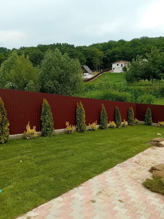 Tuia Smarald și plante naturale din pepeniera