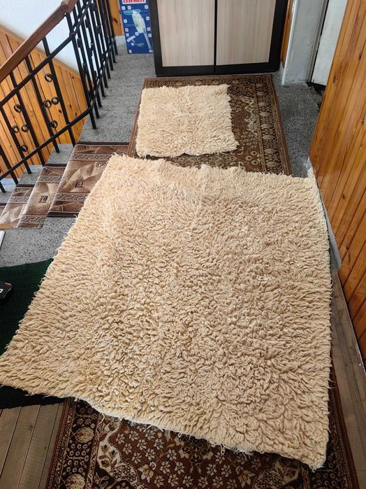 Родопски китеници