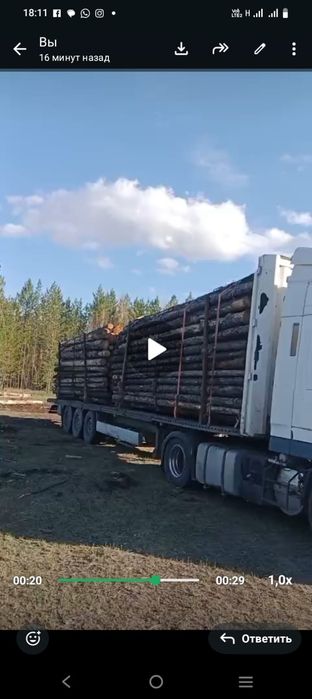 Кругляк 6 метровые