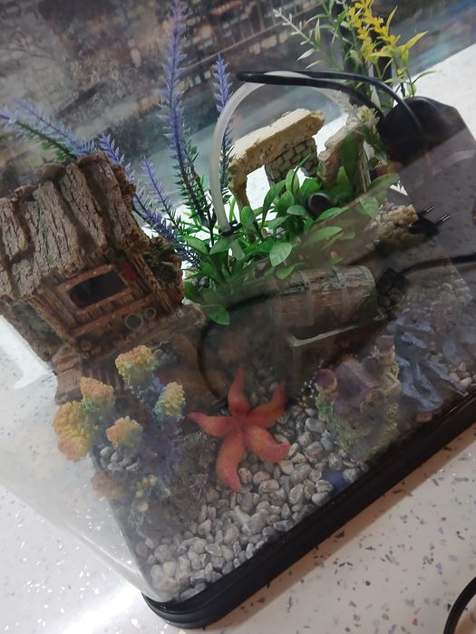 Аквариум 20 литра оборудван
