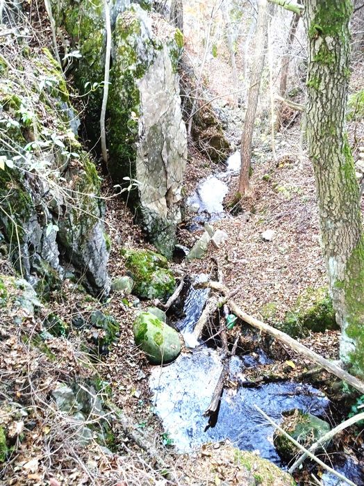 Продавам малка вила