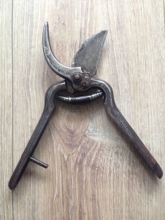 Лозарски ножици Solingen Meister Велико Търново Солинген