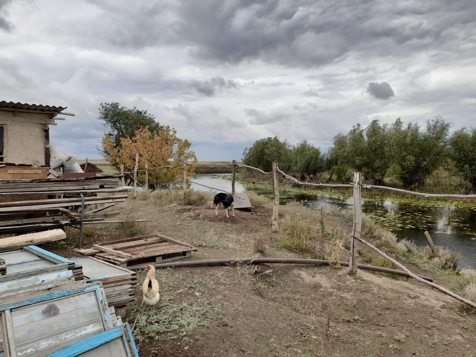 Дом в поселке Горбуново рядом с городом