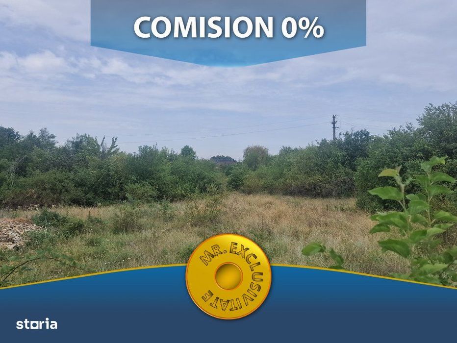 Teren Poiana Lacului