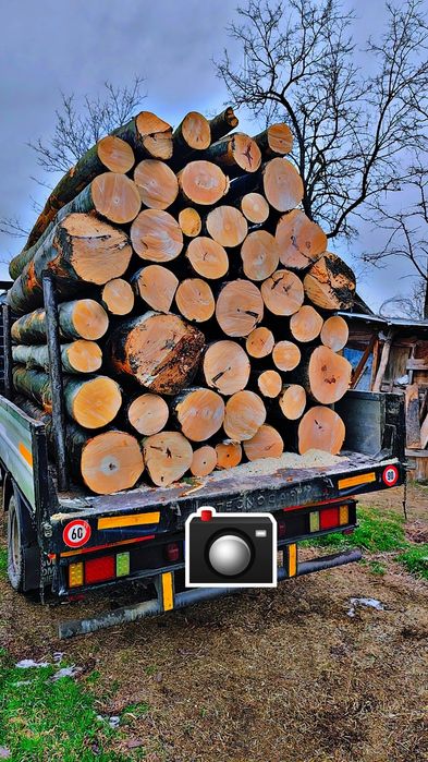 Vand lemn de foc fag