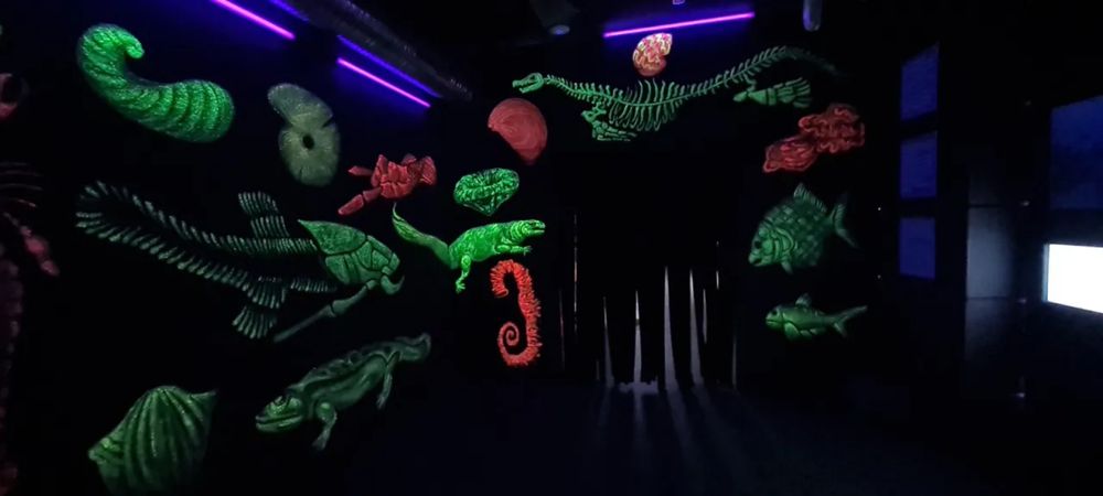 Pictura murala, pictura pe perete, educativa pentru copii, camera neon