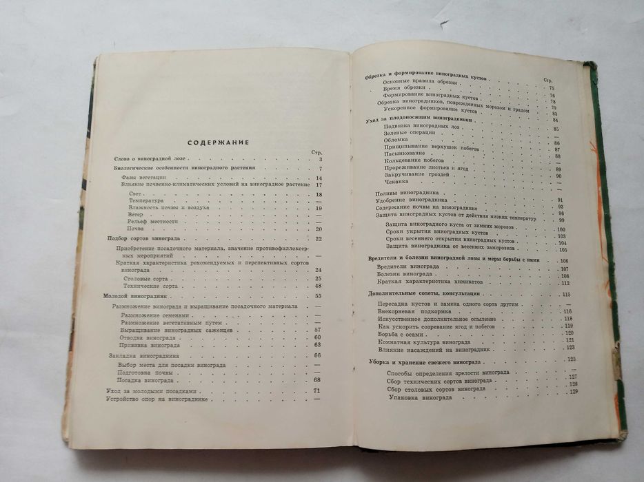 Виноград (выращивание в Казахстане)