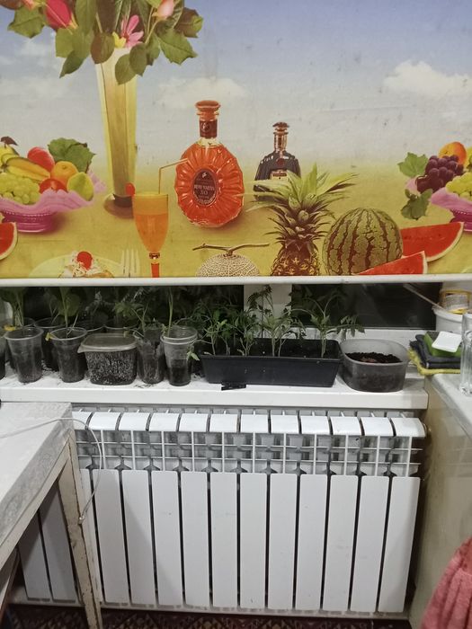 Продам 2 -х квартиру  в  4кв доме