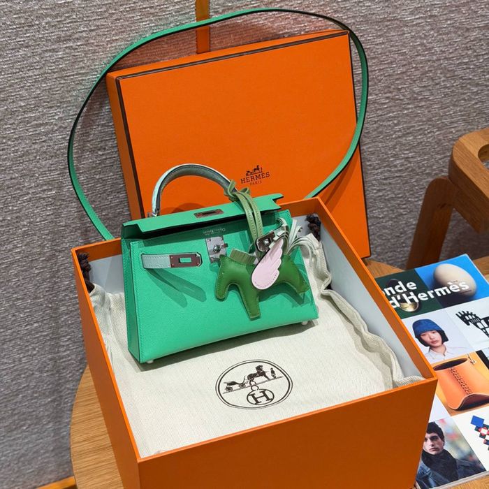 Geanta Hermes Kelly Madame Alligator 20