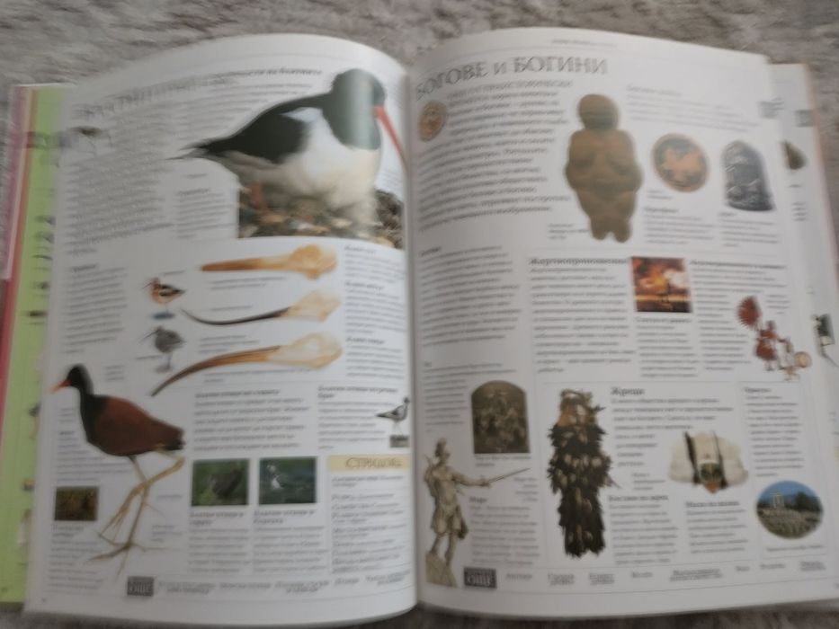 Семейна енциклопедия