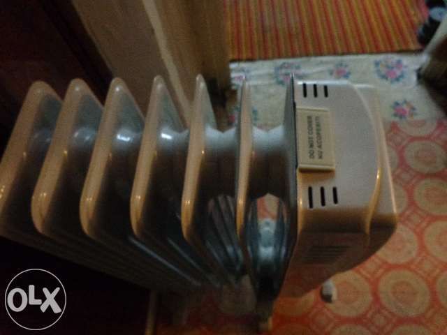 Calorifer electric Zass